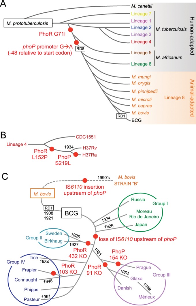 FIG 1 