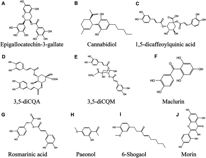 FIGURE 4