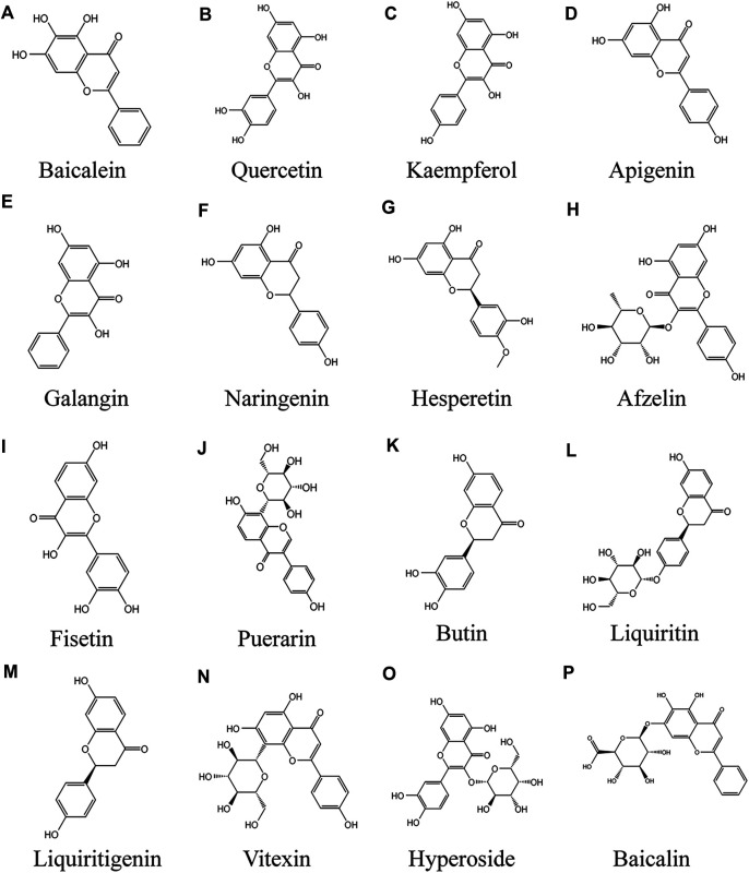 FIGURE 3