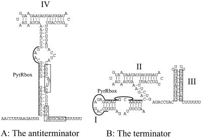 FIG. 5