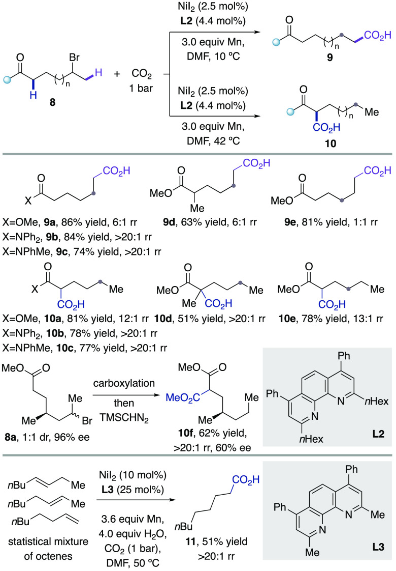 Scheme 6