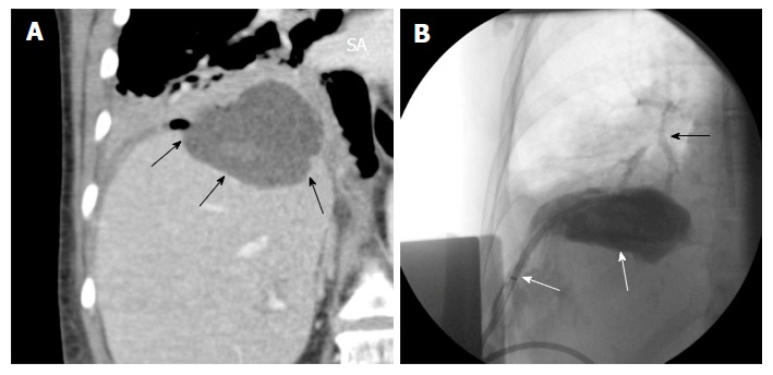 Figure 10