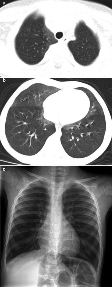 Fig. 7