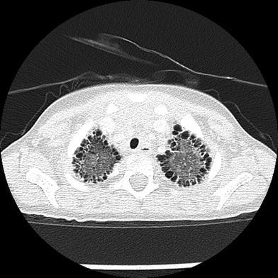 Fig. 4