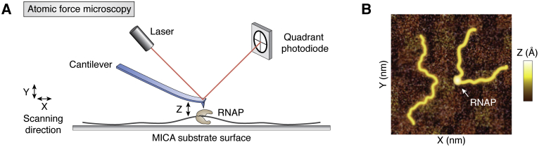 Figure 9