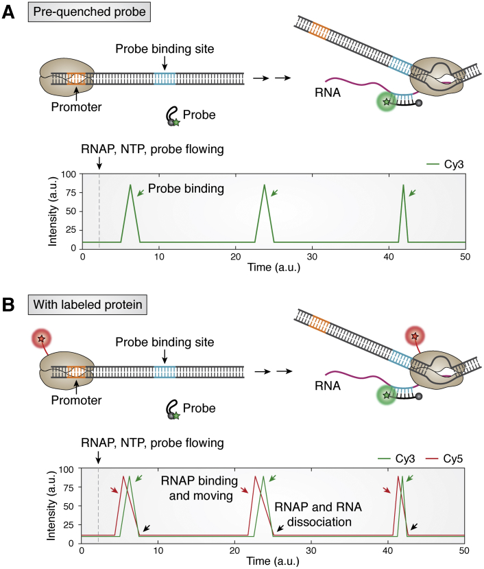 Figure 6