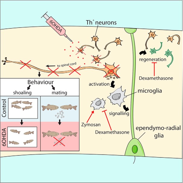 Figure 15.