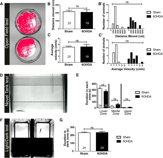 Figure 13.