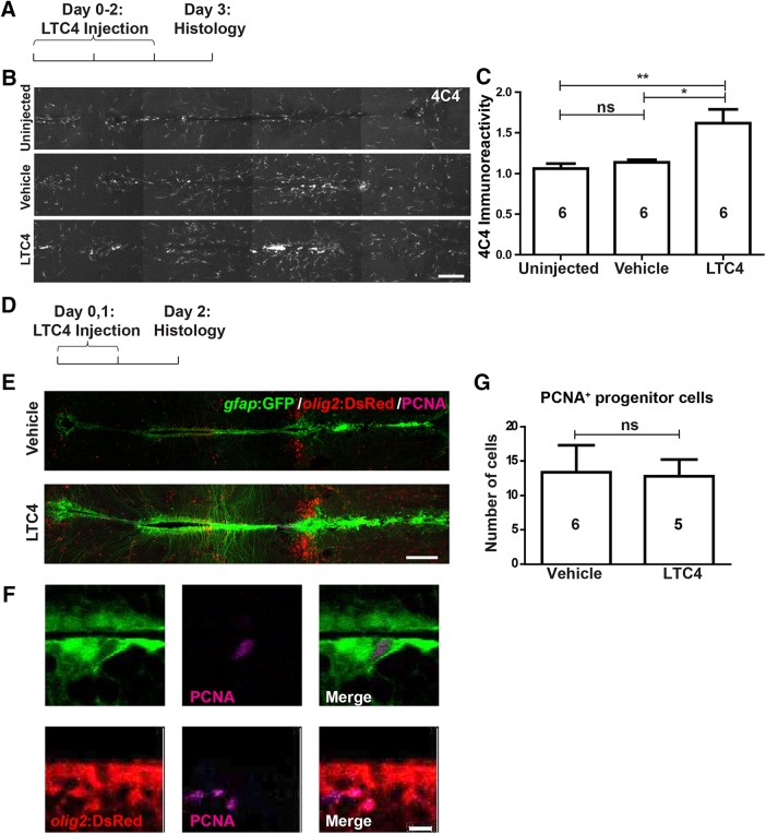 Figure 11.