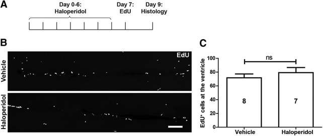 Figure 12.