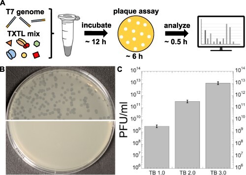 Figure 3.