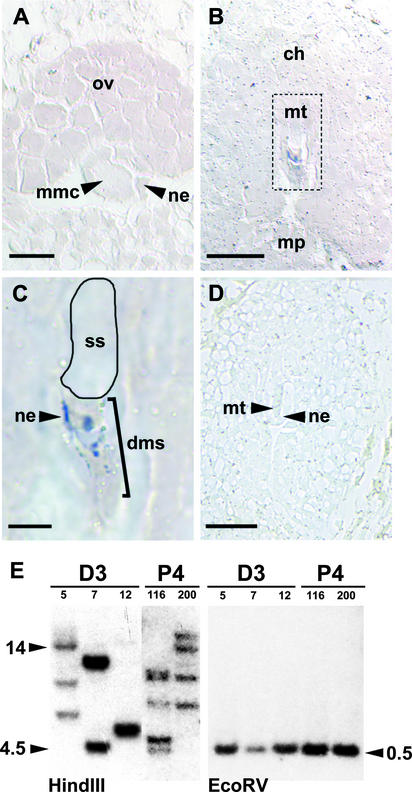 Figure 7.