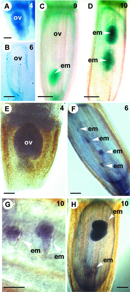 Figure 4.