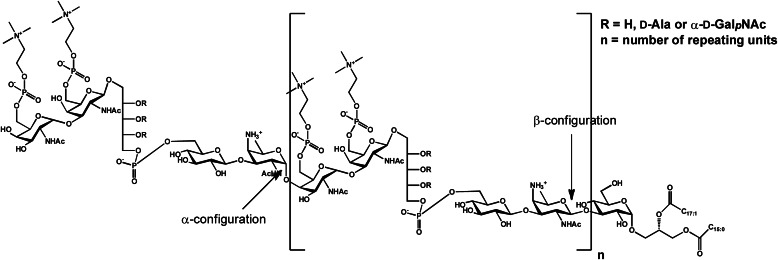 FIGURE 1.