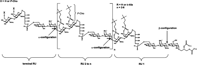 FIGURE 10.