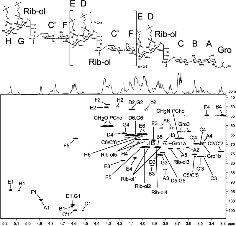 FIGURE 4.