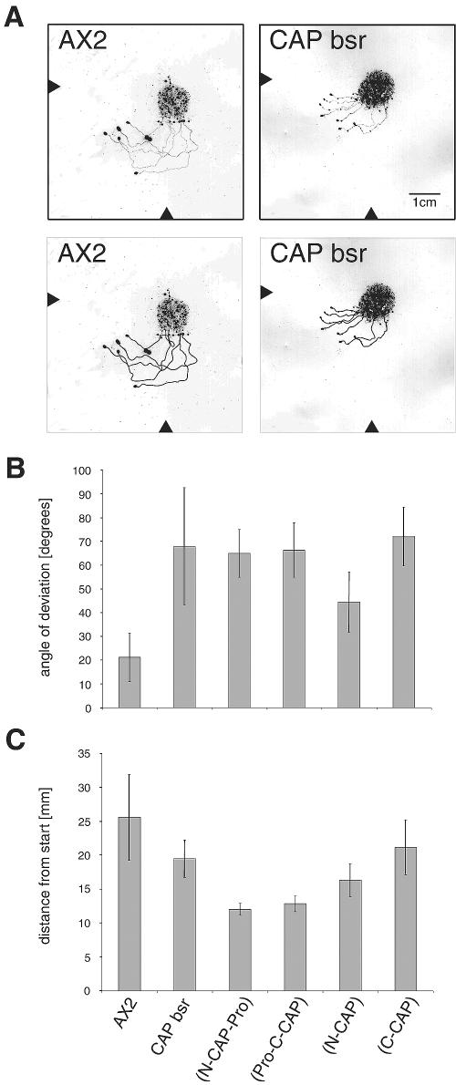 Figure 10.