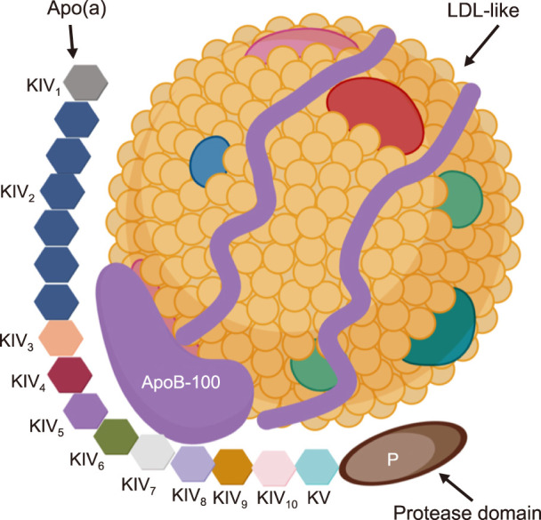 FIG. 1