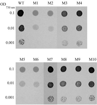 FIG. 3