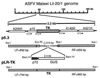 FIG. 1