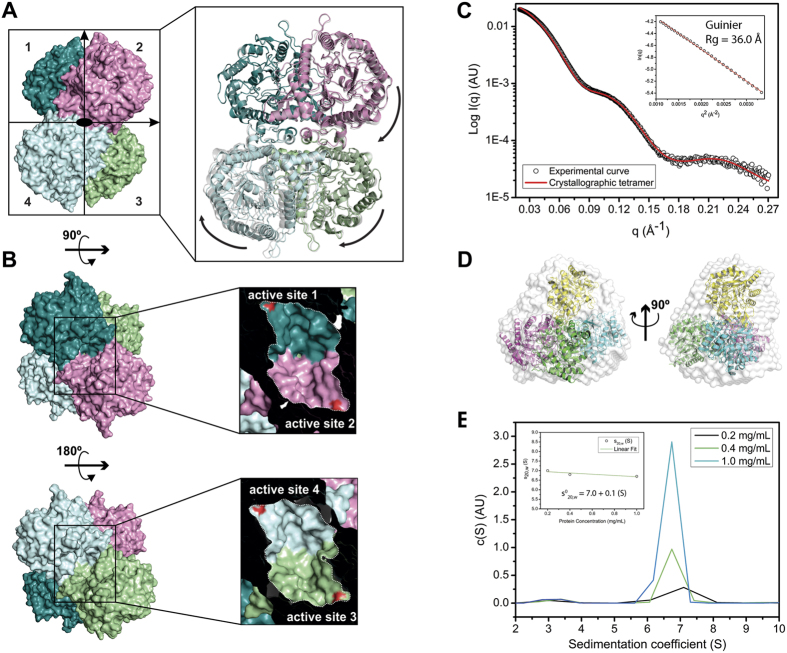 Figure 2