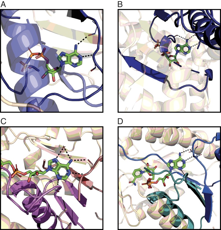 Fig. 6.