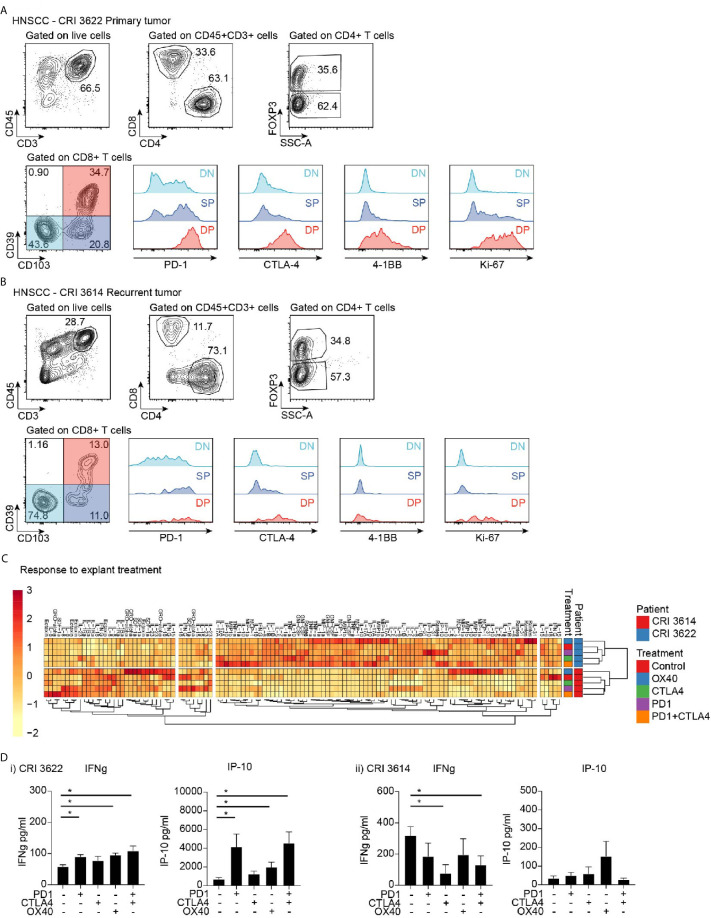 Figure 6