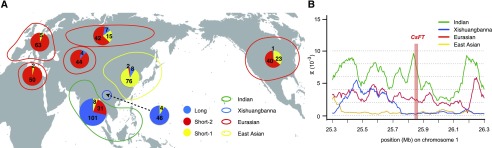 Figure 6.