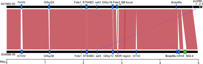 Fig. 3