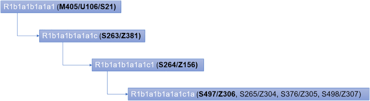 Figure 5