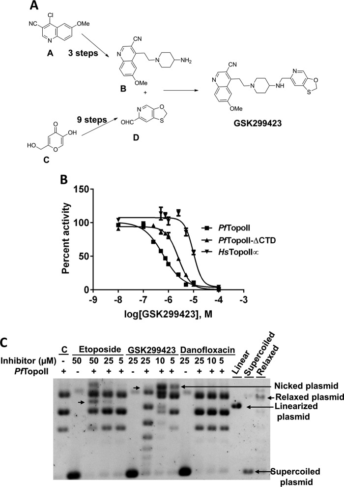 FIGURE 5.