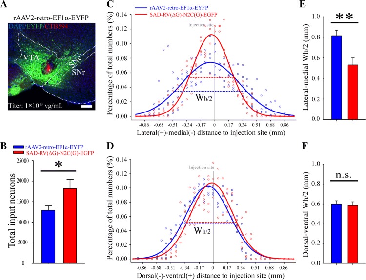 Fig. 2