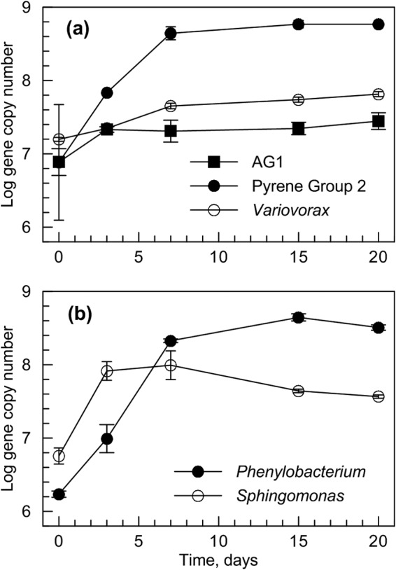 FIG 2