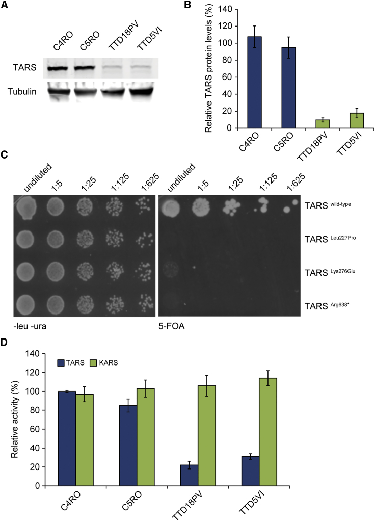 Figure 2