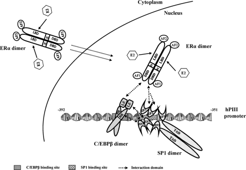 Fig. 11.