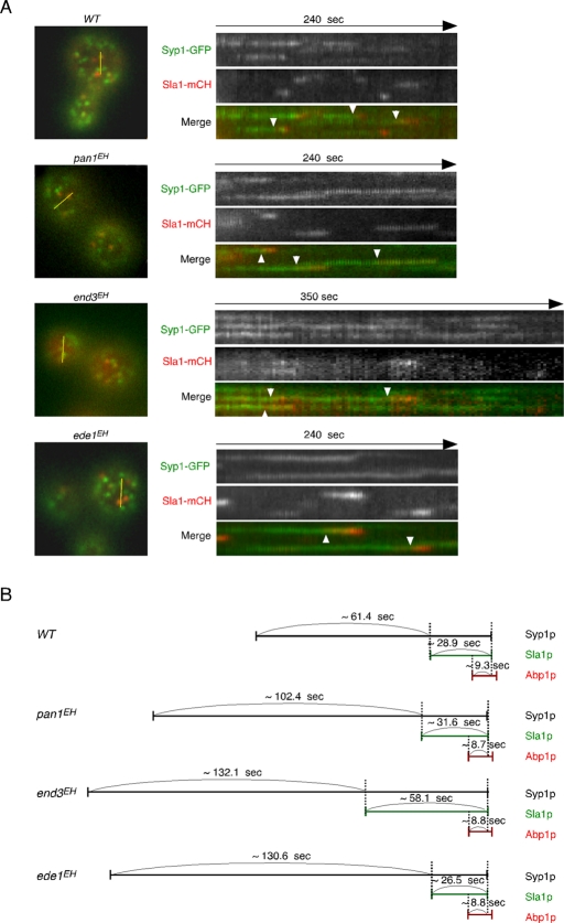 FIGURE 7: