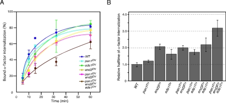 FIGURE 5: