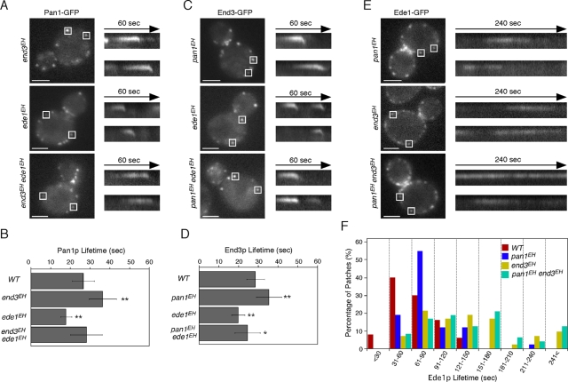 FIGURE 4: