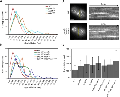 FIGURE 6: