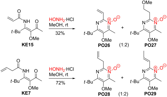 Scheme 17