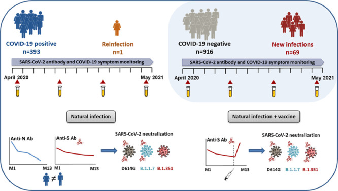 Image, graphical abstract