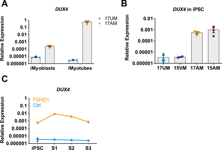 Figure 6—figure supplement 1.