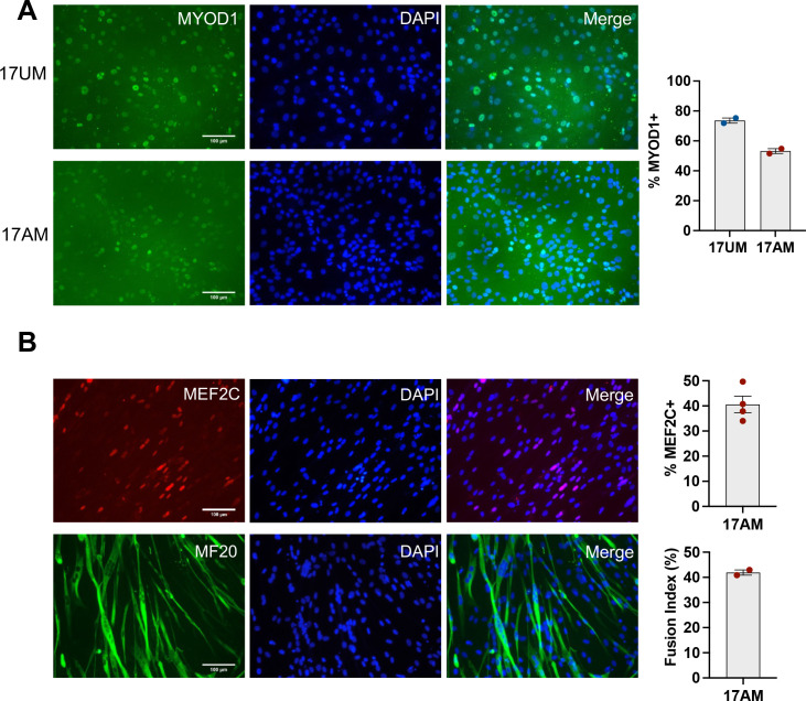 Figure 1—figure supplement 2.