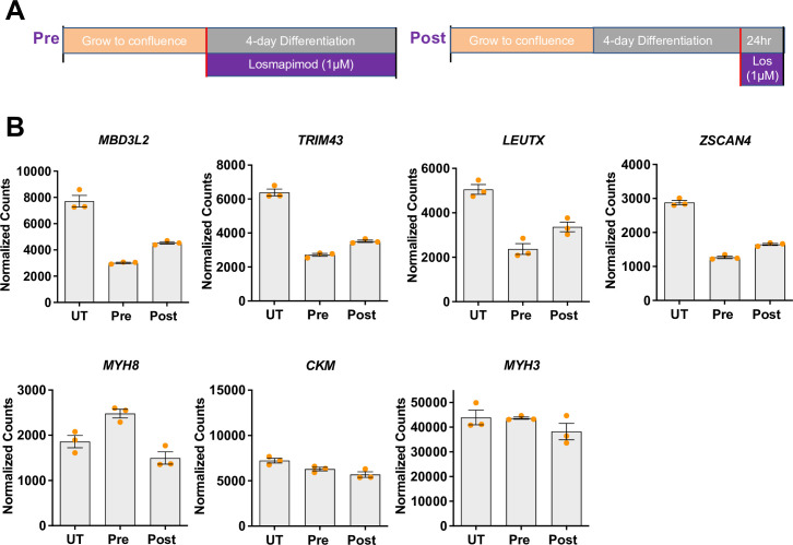 Figure 5—figure supplement 1.