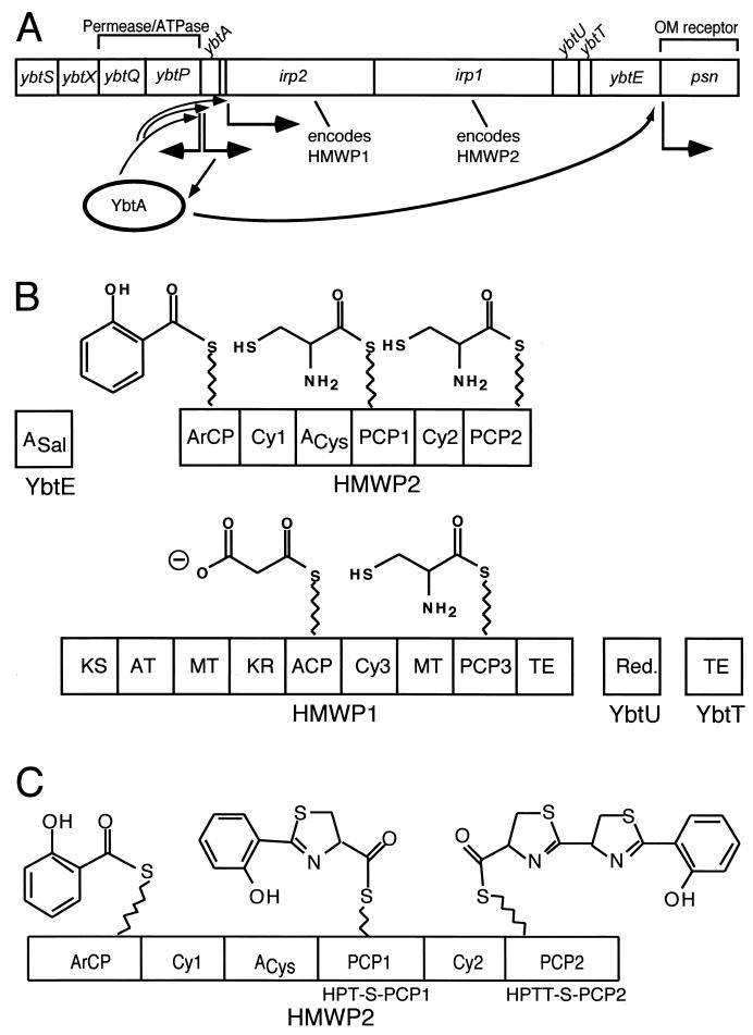 FIG. 17.