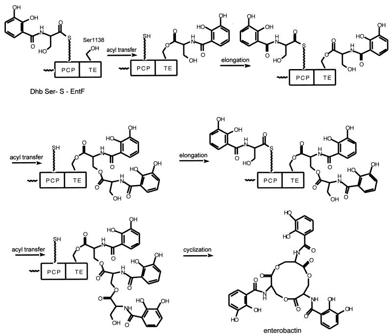 FIG. 7.