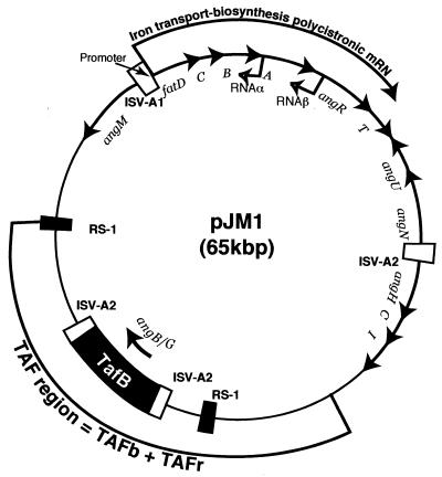 FIG. 10.