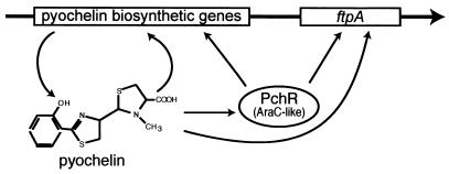 FIG. 15.