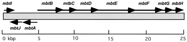 FIG. 20.