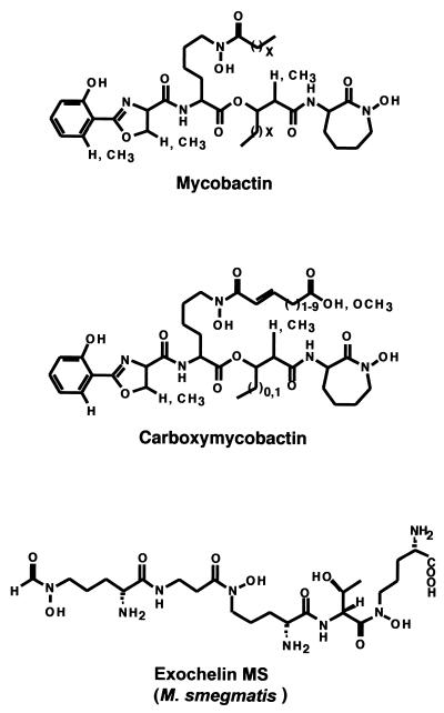 FIG. 19.